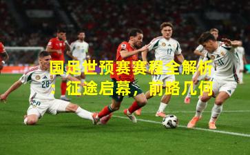 国足世预赛赛程全解析：征途启幕，前路几何