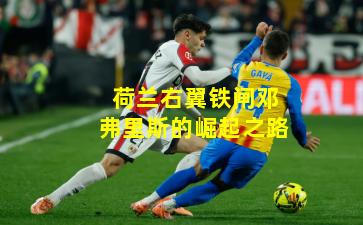 荷兰右翼铁闸邓弗里斯的崛起之路