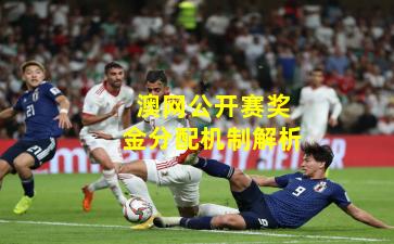 澳网公开赛奖金分配机制解析